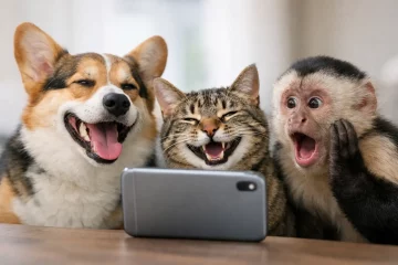 A Guide To Funny Animal Memes That Actually Land